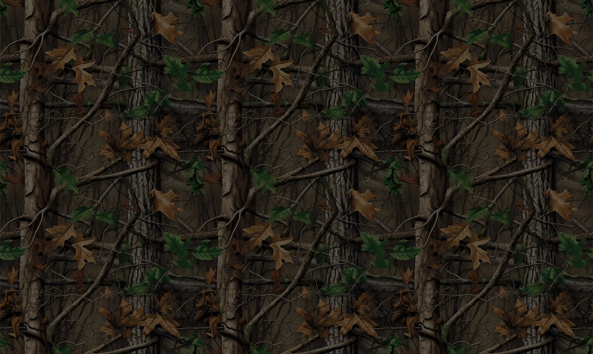 The Official SZA Collection